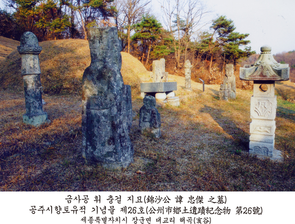 금사공 휘 충걸 지묘(錦沙公 諱 忠傑 之墓, 공주시향토유적 기념물 제26호) — 세종특별자치시 장군면 대교리 해곡(亥谷). 오래된 석인상과 석등, 상석이 남아 있는 묘역이다.