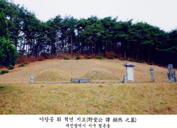 '야당공 휘 혁연 지묘(野堂公 諱 赫然 之墓), 대전광역시 서구 평촌동'이라 설명된 묘소로, 소나무 숲 아래 봉분 두 기와 비석·석인상이 보인다.