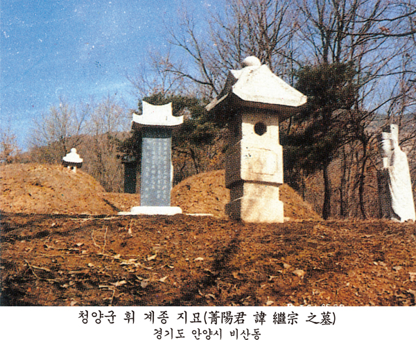 사진 하단에 '청양군 휘 계종 지묘(菁陽君 諱 繼宗 之墓), 경기도 안양시 비산동'이라 인쇄된 묘소로, 비문이 새겨진 묘비와 장명등, 석인상이 보인다.