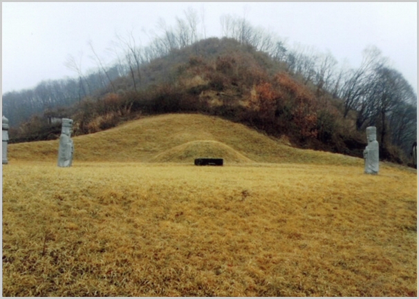 선전관공 휘 하창 지묘로, 산자락 아래 봉분과 상석 좌우로 석인상 두 기가 서 있는 묘역 전경이다.