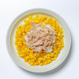 콘버터 솥밥